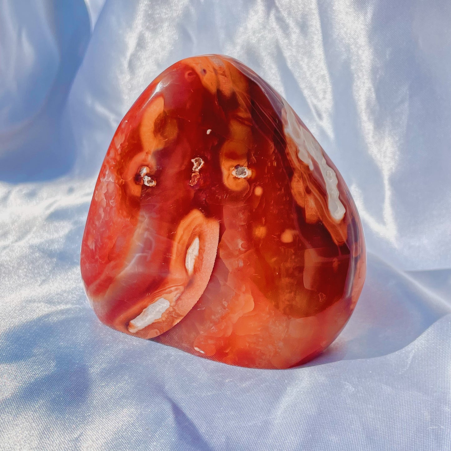 Funky Carnelian W/ Orca Agate Freeform