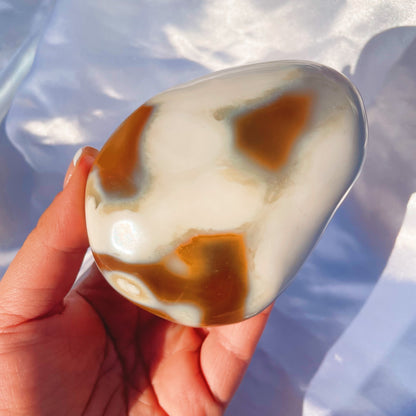 Giant Carnelian W/ Orca Palmstone