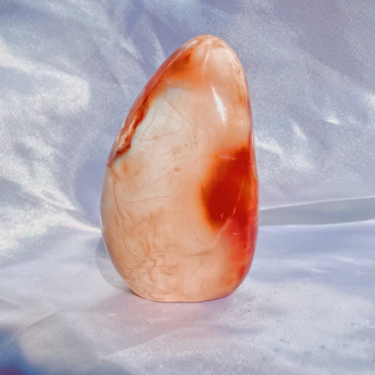 Carnelian W/ Orca Agate