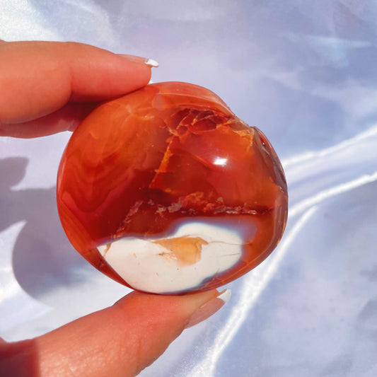 Carnelian W/ Orca Agate Palmstone