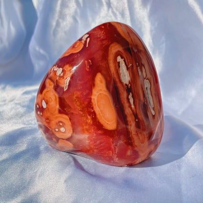 Funky Carnelian W/ Orca Agate Freeform