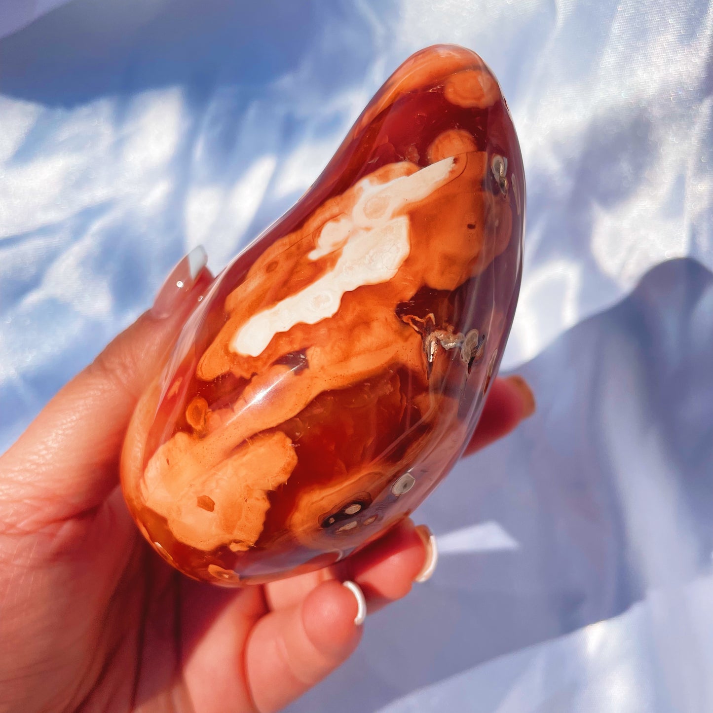 Funky Carnelian W/ Orca Agate Freeform